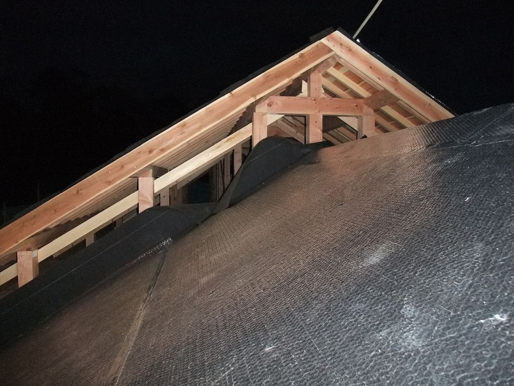 Emergency Roof Repair in Ravenel, SC